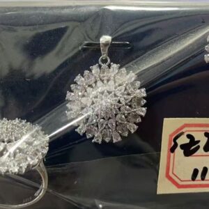 SZ20510, Ladies' Moissanite Ring, S925, Rhodium Plated, White, 16.59g