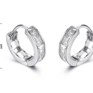 SE15591, Ladies' Moissanite Earring, S925, Rhodium Plated, White, 2.3g