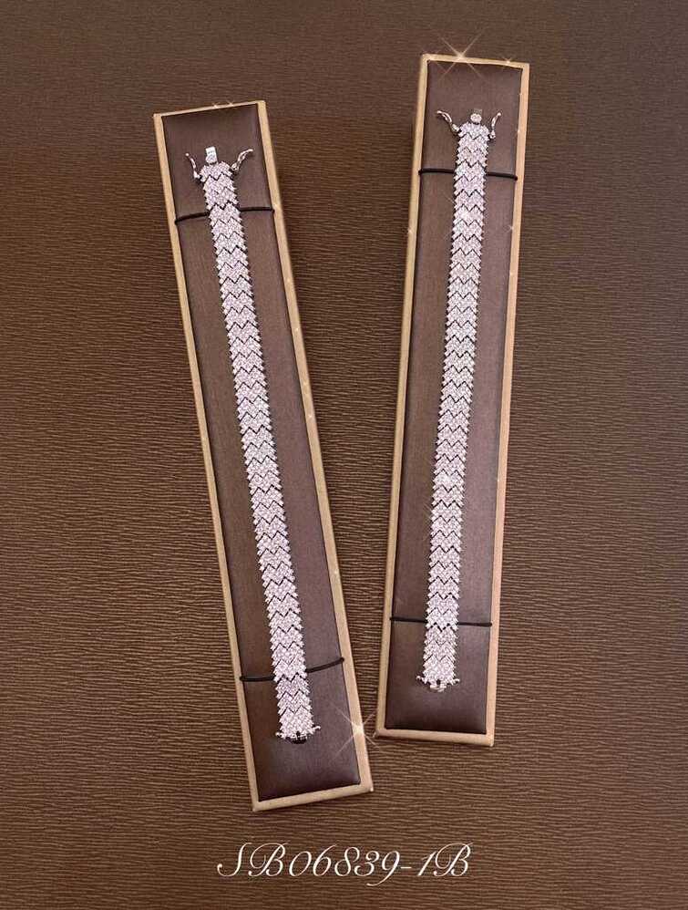 Necklace SB06839-2B