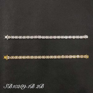 Necklace SB10289-2B
