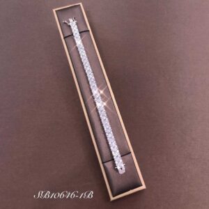 Necklace SB10646-1B