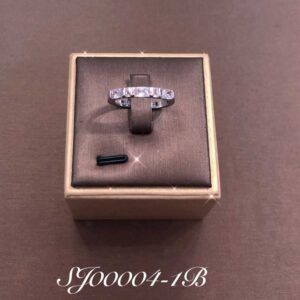 Necklace SJ00004-1B