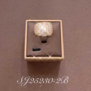 Necklace SJ25230-2B