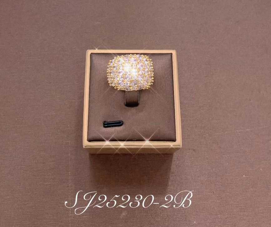 Necklace SJ25230-2B