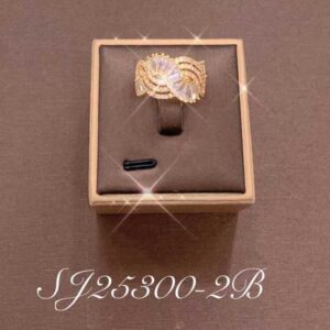 Necklace SJ25300-2B
