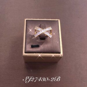 Necklace SJ27430-2B