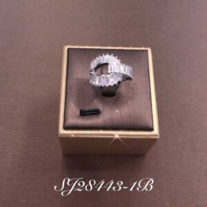 Necklace SJ28443-1B