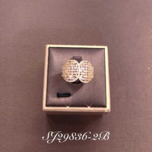 Necklace SJ29836-2B