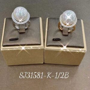 Necklace SJ31581-2B