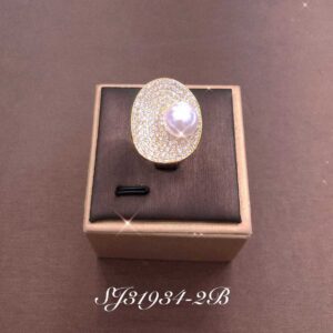Necklace SJ31934-2B