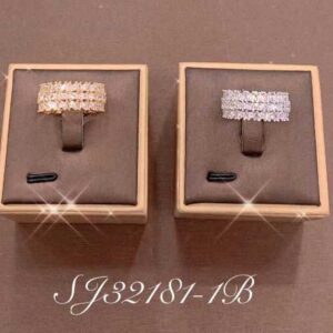 Necklace SJ32181-1B