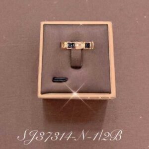 Necklace SJ37214-N-2B