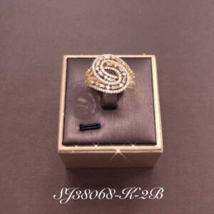 Necklace SJ38068-K-2B