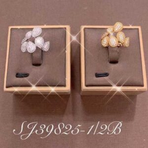 Necklace SJ39825-K-2B
