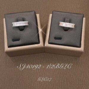 Necklace SJ40192-2B
