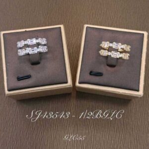 Necklace SJ43543-2B