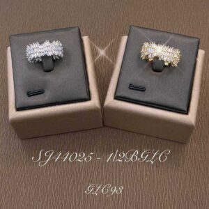 Necklace SJ44025-2B