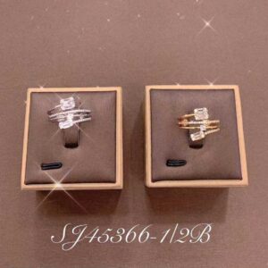 Necklace SJ45366-2B