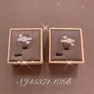 Necklace SJ45371-2B
