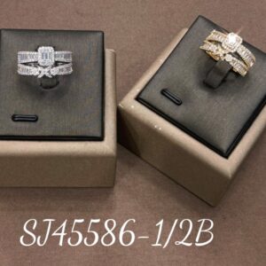 Necklace SJ45586-2B