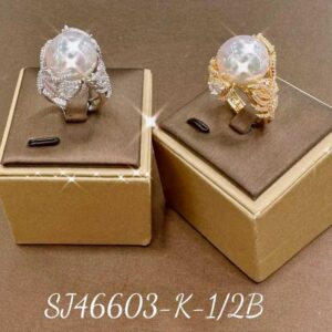 Necklace SJ46603-2B