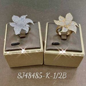 Necklace SJ48485-2B