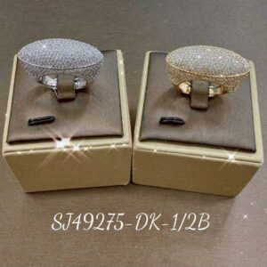 Necklace SJ49275-D-2B