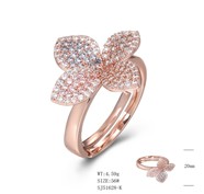 Necklace SJ51628-K-2BCLR
