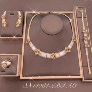 Necklace SN14084-2B