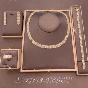Necklace SN17143-2B