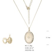 Necklace SN25705-SA-5B