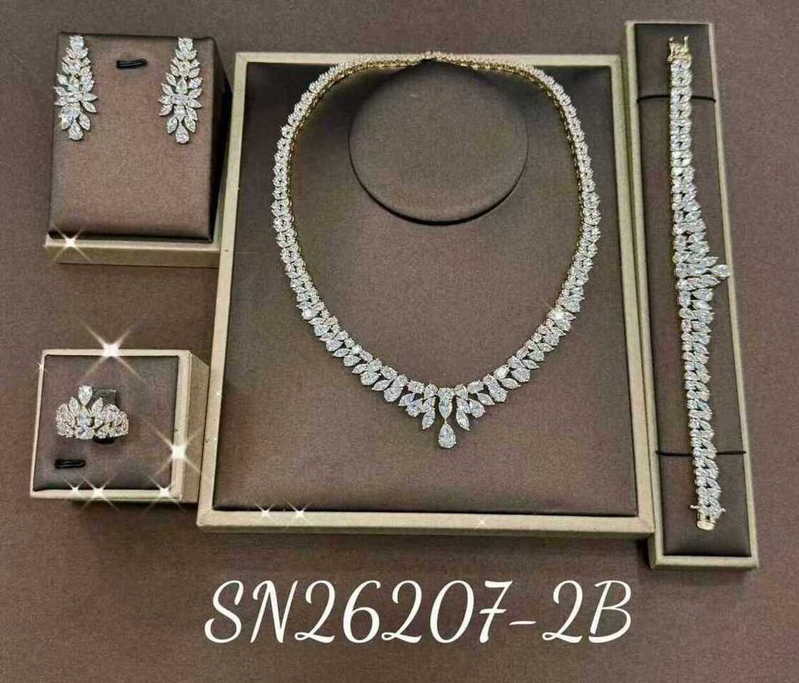 Necklace SN26207-2B