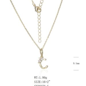 Necklace SN26978-S-1B