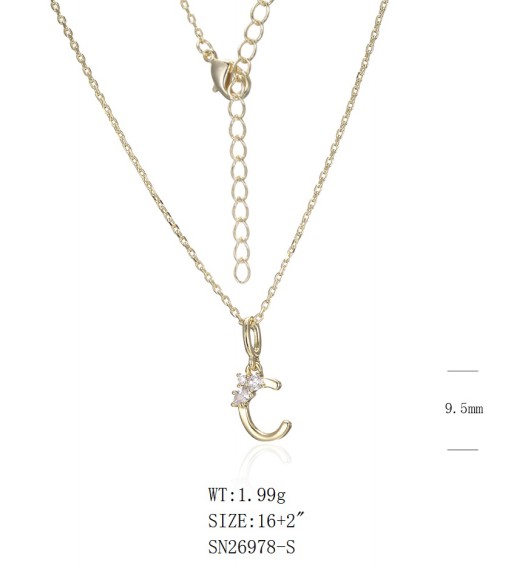Necklace SN26978-S-2B
