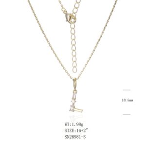 Necklace SN26981-S-1B