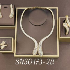 Necklace SN30473-2B